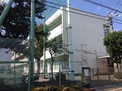 横浜市立市ケ尾中学校 980ｍ
