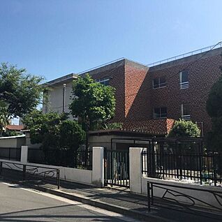 川崎市立川崎中学校 270ｍ