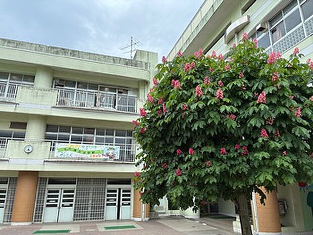 横浜市立茅ケ崎台小学校(約950m)