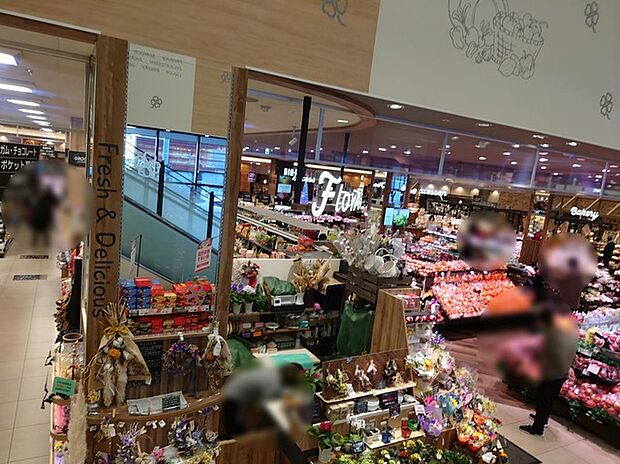 ライフ溝口店（約570m）