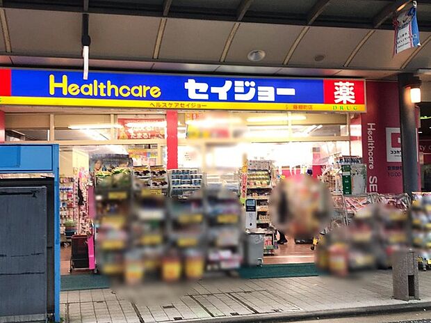 ヘルスケアセイジョー藤棚店（約380m）