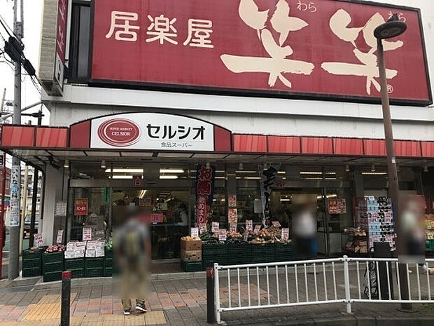 スーパーマーケットセルシオ和田町店（約320m）