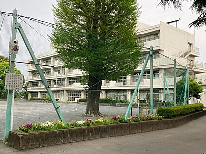 横浜市立石川小学校 750ｍ