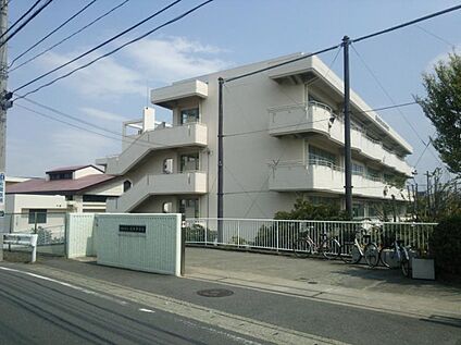 横浜市立汲沢中学校 740ｍ