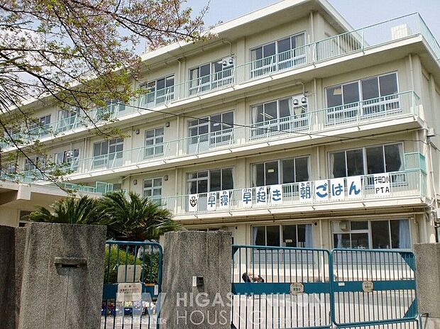 川崎市立子母口小学校（約560m）
