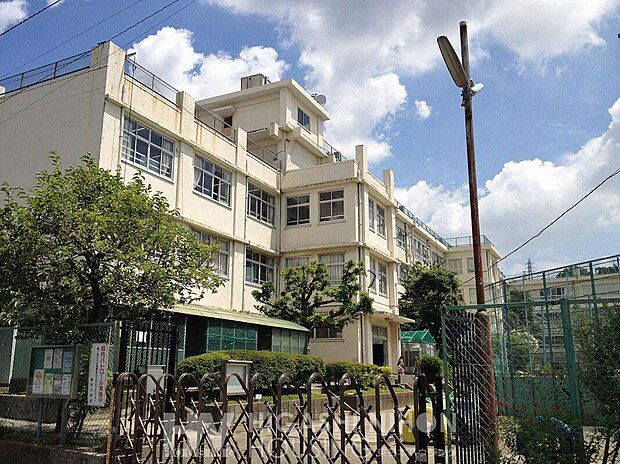 川崎市立菅生小学校(約800m)