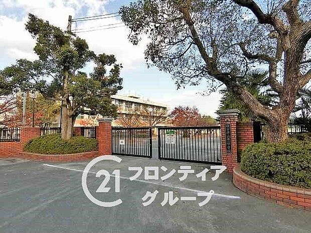 枚方市立第一中学校(約290m)