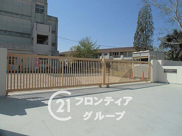 明石市立人丸小学校(約600m)