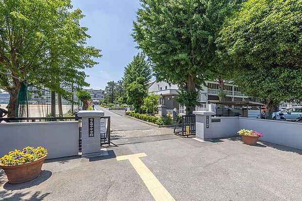柏市立田中中学校(約400m)