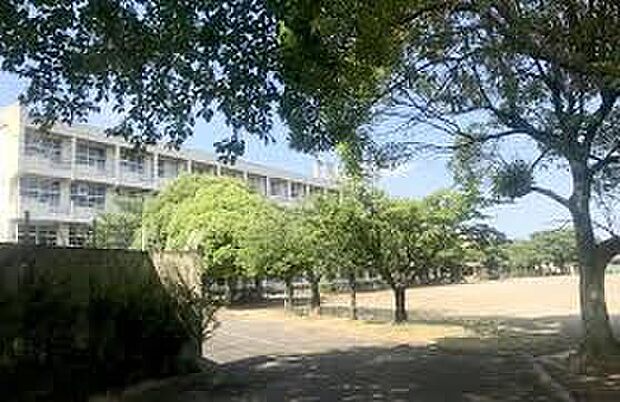 石川中学校(約1,400m)