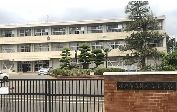 梅が丘小学校（約900m）