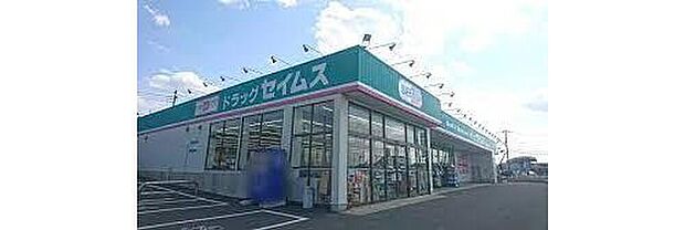 ドラッグセイムス木更津請西南店（約1,300m）
