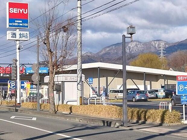 西友　三本柳店（約700m）