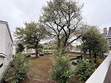 住戸からの眺望写真