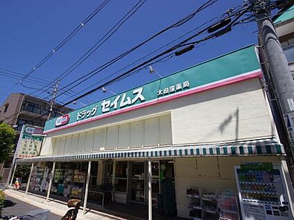 セイムス太田窪店 809m(徒歩11分)