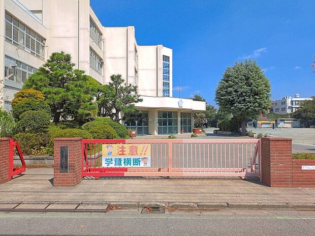 さいたま市立大成小学校(約250m)