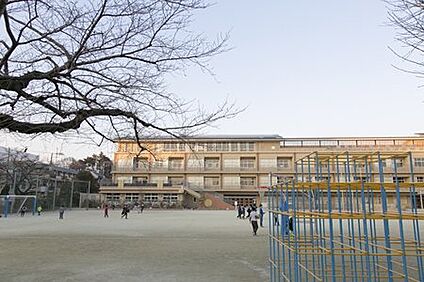 練馬区立豊玉南小学校 162m