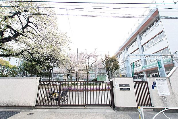 目黒区立東根小学校（約497m）