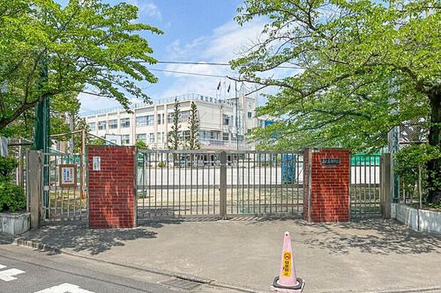 足立区立青井中学校（約350m）