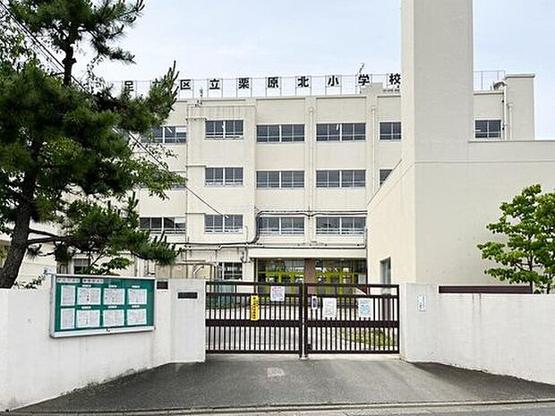 足立区立栗原北小学校（約300m）