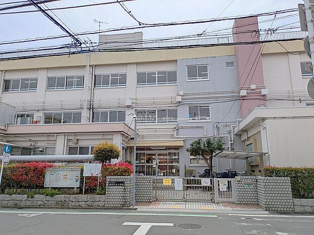 江戸川区立鹿骨松本小学校(約800m)