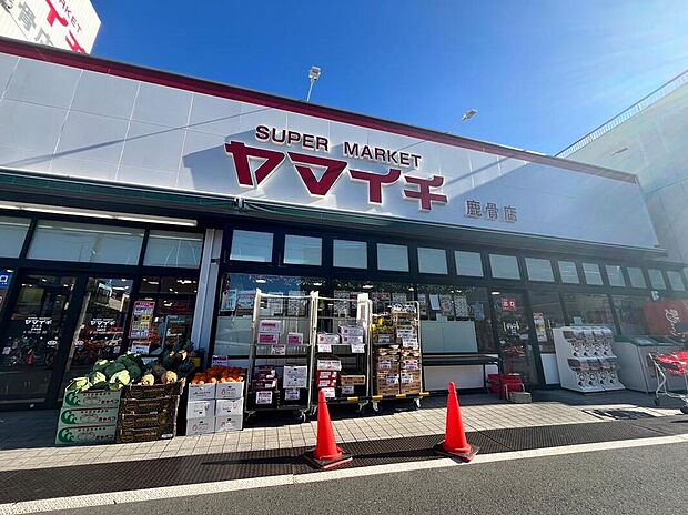 ヤマイチ鹿骨店（約300m）