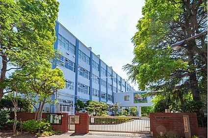 江戸川区立松江第一中学校 1100ｍ(徒歩14分)