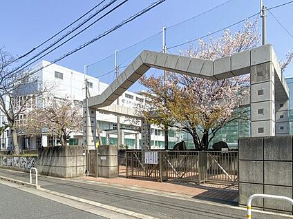 江戸川区立南葛西第二中学校 1200m (徒歩15分)