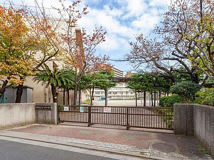 葛飾区立よつぎ小学校 350m(徒歩5分)