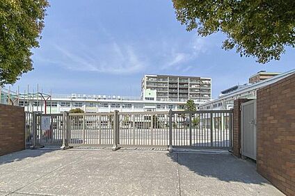江戸川区立篠崎小学校 250m (徒歩4分)