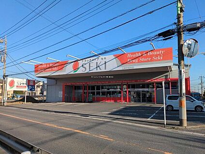 ドラッグストアセキ三郷早稲田店 1100ｍ(徒歩14分・自転車4分)