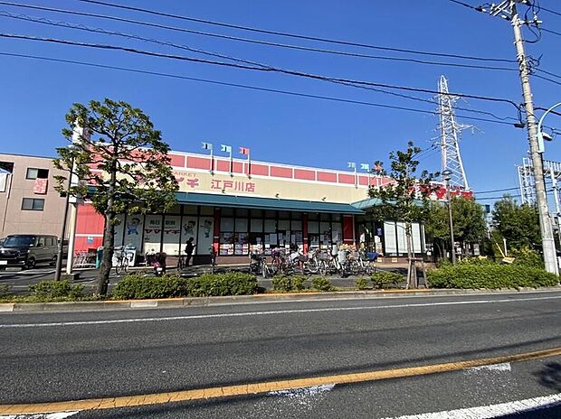 ヤマイチ江戸川店(約500m)