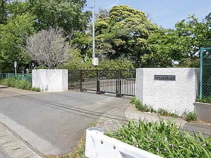 佐倉市立西志津小学校 750ｍ(徒歩10分)