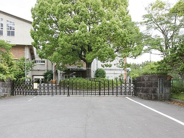 酒々井町立大室台小学校（約1,000m）