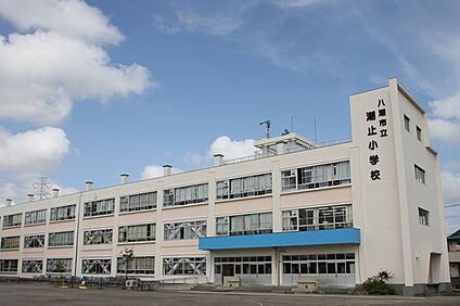 八潮市立潮止小学校 徒歩1415m