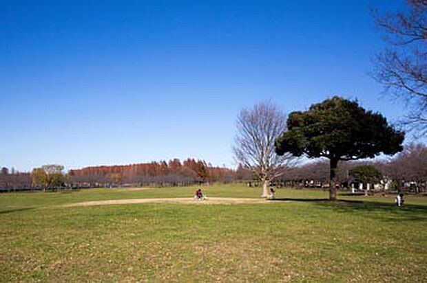 埼玉県営みさと公園(約354m)