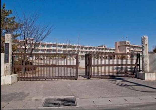 八潮市立八幡小学校（約516m）