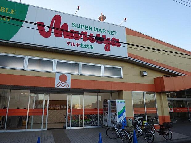 マルヤ 松伏店(約1,605m)