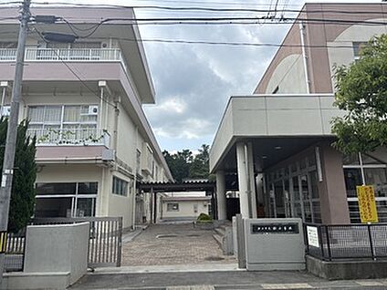 郡山市立桜小学校 500ｍ(徒歩7分)