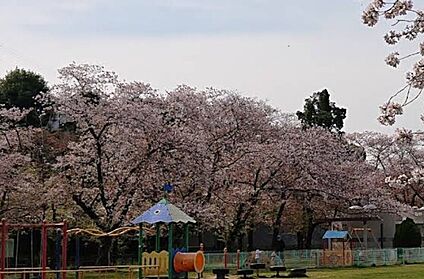 八景水谷公園 約1,100ｍ(徒歩14分)