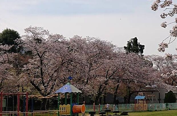 八景水谷公園