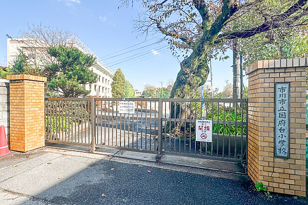 国府台小学校(現地より徒歩14分)