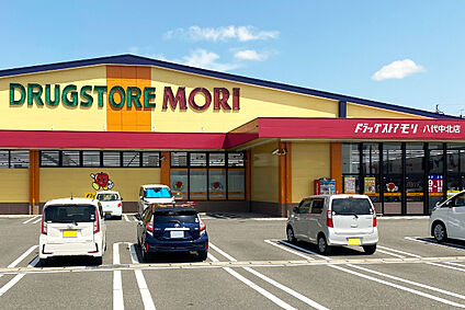 ドラッグストアモリ八代中北町店 約850ｍ