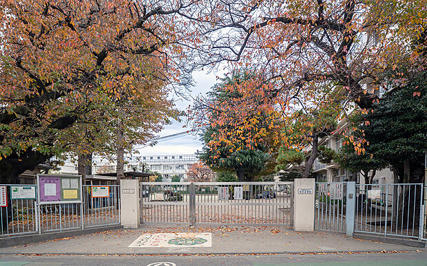 世田谷区立深沢小学校（約190m）