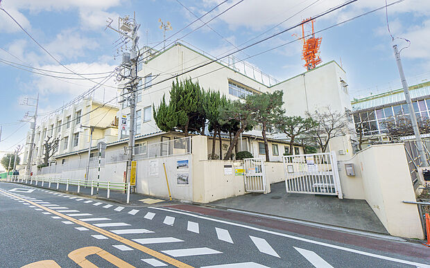 大田区立赤松小学校（約400m）