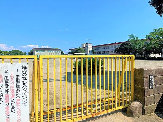 錦江台小学校（約303m）