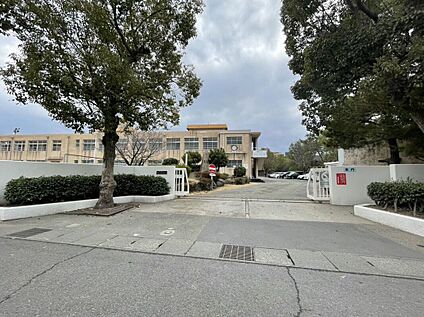 鴨池中学校 450ｍ(徒歩6分)