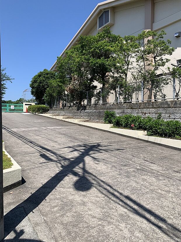 桜丘中学校(約698m)