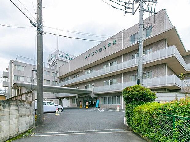 徳成会八王子山王病院（約700m）