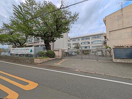 八王子市立第一中学校 1790ｍ(徒歩23分)
